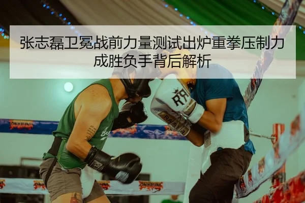 张志磊卫冕战前力量测试出炉重拳压制力成胜负手背后解析